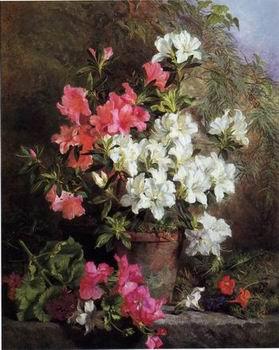 unknow artist Floral, beautiful classical still life of flowers 05 oil painting image